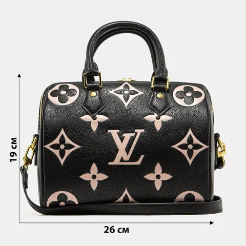A0116 LOUIS VUITTON