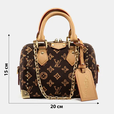 A0523 LOUIS VUITTON