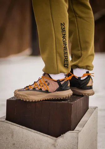 Nike ACG Mountain Fly Low "Fossil"
