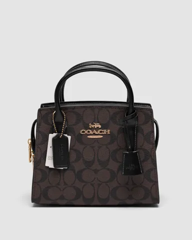 Coach Andrea Carryall In Signature Canvas Brown Black