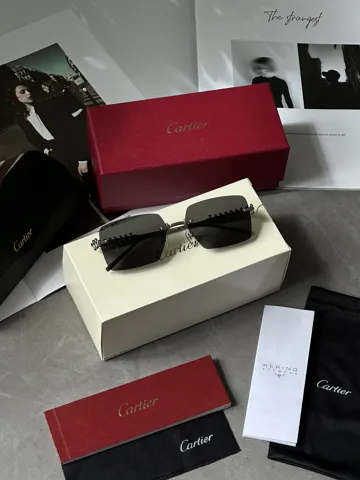 Cartier Clash Black/Silver CT0545S 001 L 58/17/140