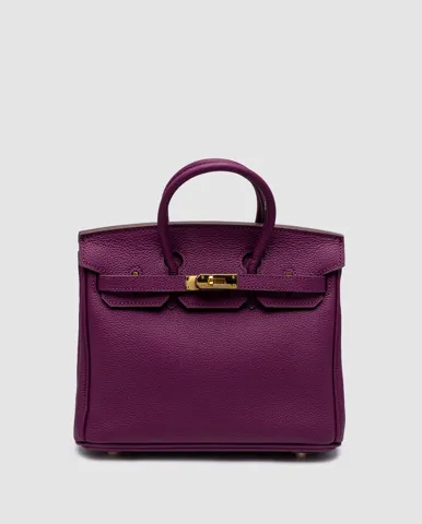 Hermes Birkin 25 Togo Cassis/Gold