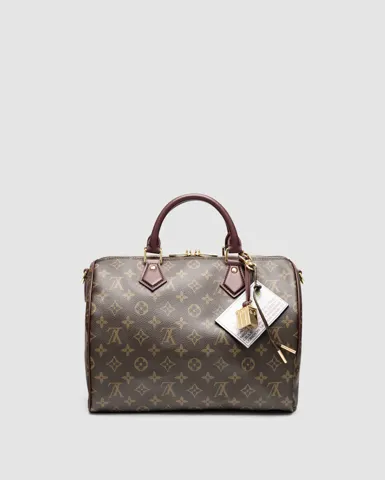 Louis Vuitton Speedy 30 Soft Celebration