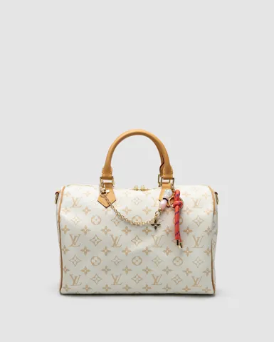Louis Vuitton Speedy 30 Soft Lucky