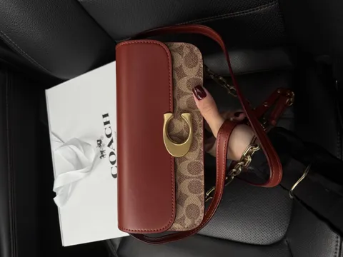 Coach Idol Bag 23 In Signature Canvas With Snakeskin Detail [магнітна коробка]
