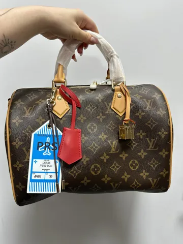 Louis Vuitton Speedy Soft 30 Crafty Monogram